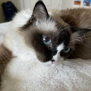 Meet your Posher, Kaylee